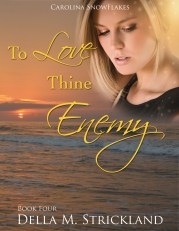 tolovethin_enemy.used